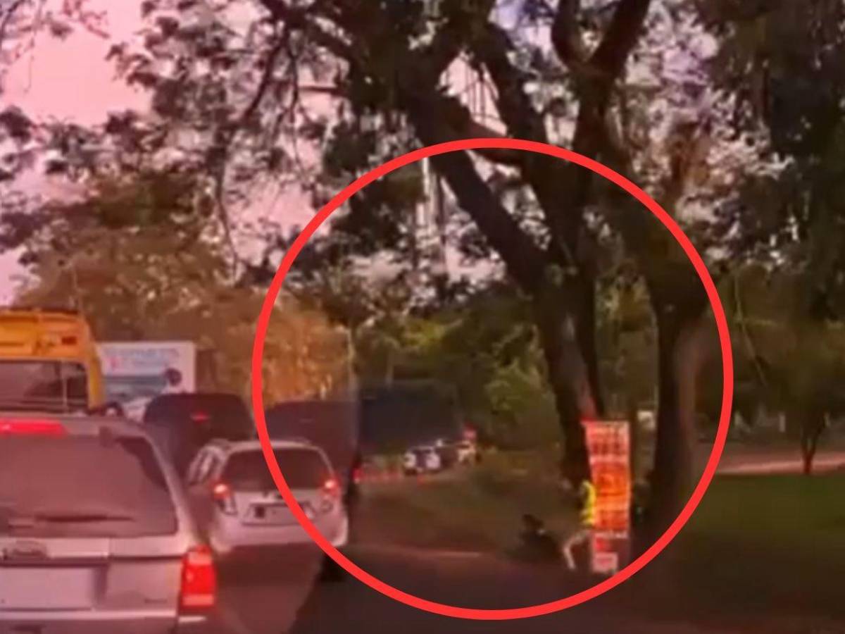 Cuadro a cuadro: así fue como conductor de rapidito mató a obrero en Villanueva, Cortés