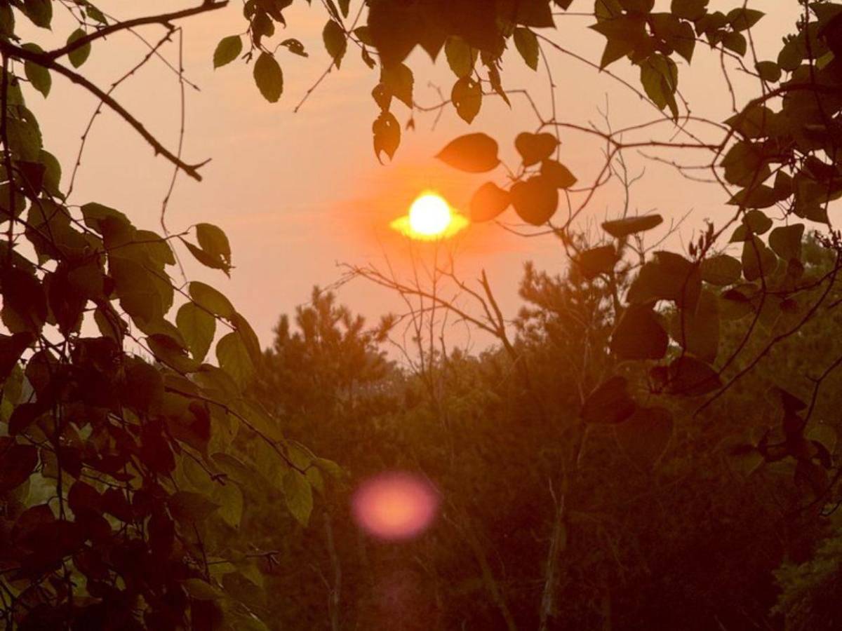 Calidad del aire en Canadá se desploma por el humo de más de 700 incendios