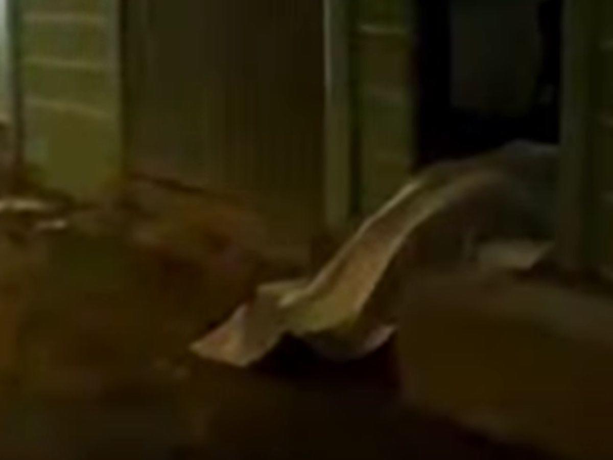 Laura Mejía, asesinada en la puerta de su casa: desconocido se le acercó y le disparó en Guaimaca