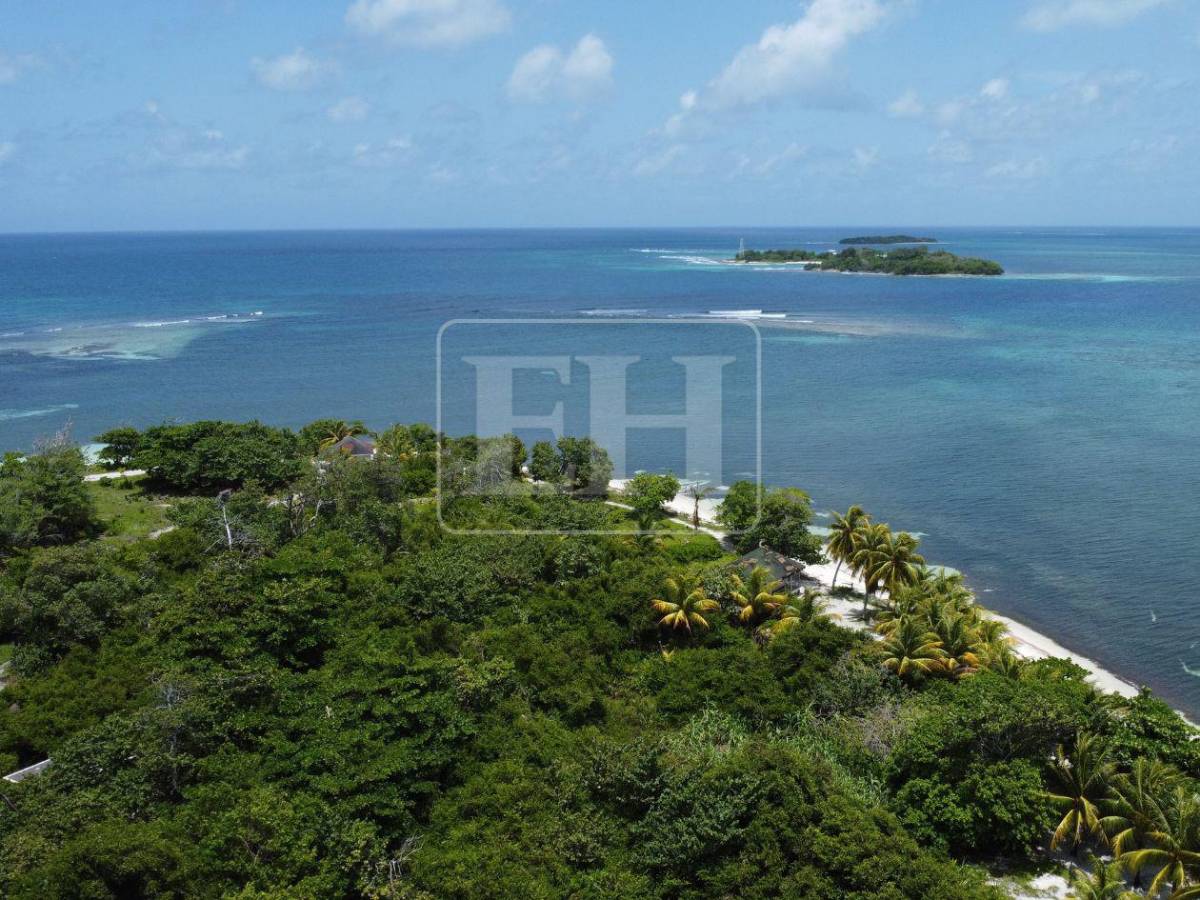 Cayos Zapotillos: el pequeño paraíso de aguas turquesas en disputa entre Honduras, Belice y Guatemala