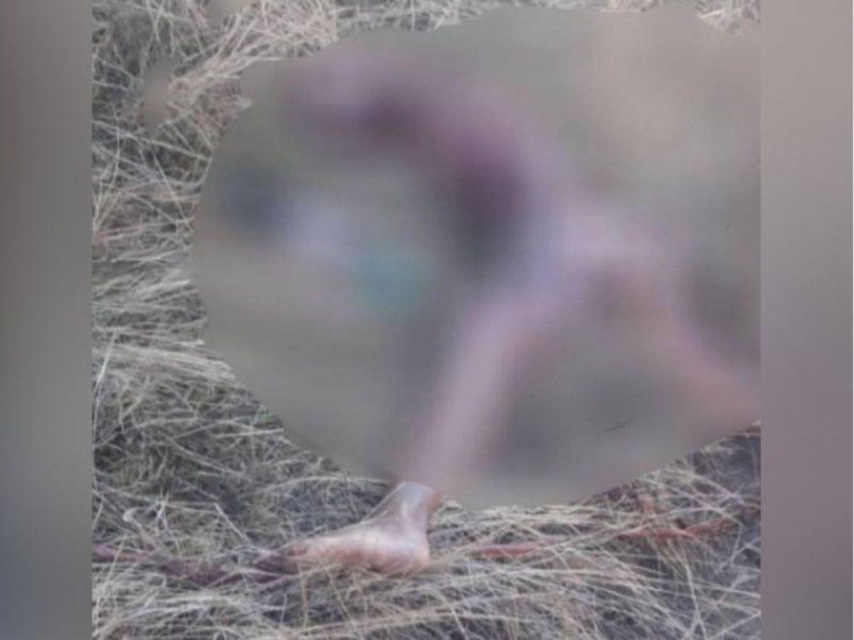 La habrían torturado: ¿cómo hallaron el cuerpo de Angie Galeas en la colonia 14 de Enero?