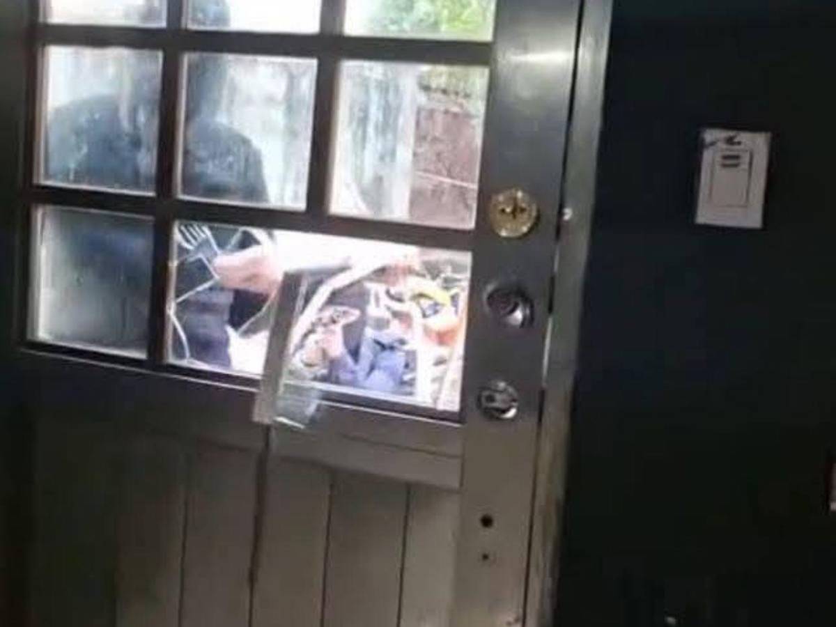 Hallan los restos de la periodista Roxana tras un mes de su secuestro en México; hay policías implicados