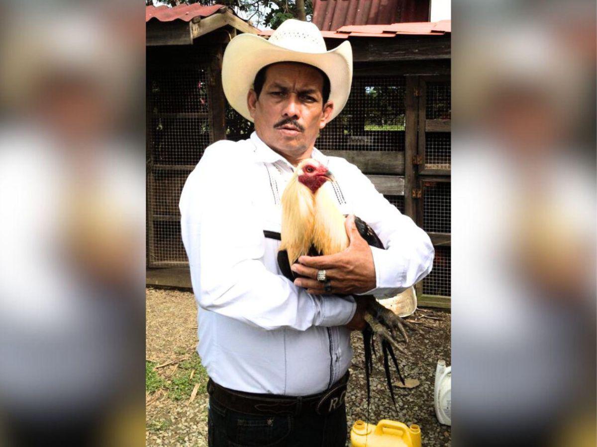 “Cuna de oro”, el corrido de 'El Roble Copaneco' para los Valle Valle: ¿cuál fue su precio? “Cuna de oro”, el corrido de 'El Roble Copaneco' para los Valle Valle: ¿cuál fue su precio?