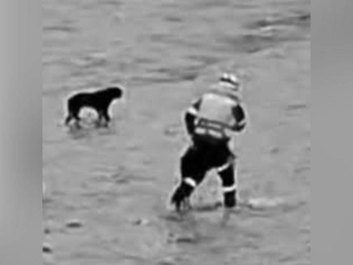 Perú despide como héroe a Patrick Ospina, el policía que dio su vida por un perro