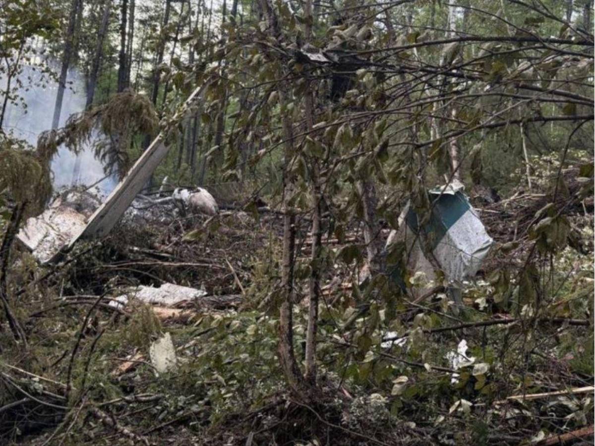 Había niños a bordo y sin sobrevivientes: lo que se sabe del avión accidentado en Rusia