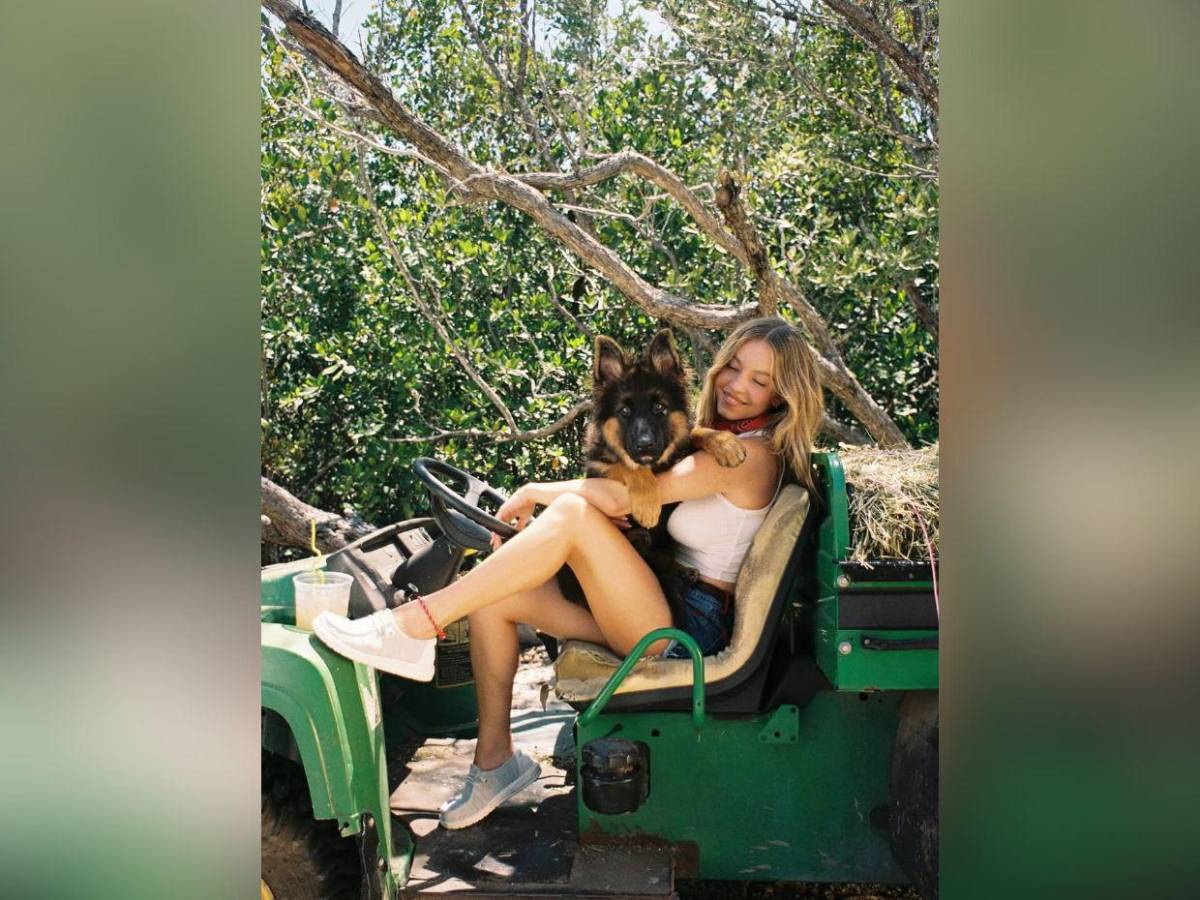 Sydney Sweeney: El camino agridulce a la meta, entre la discreción y el escándalo