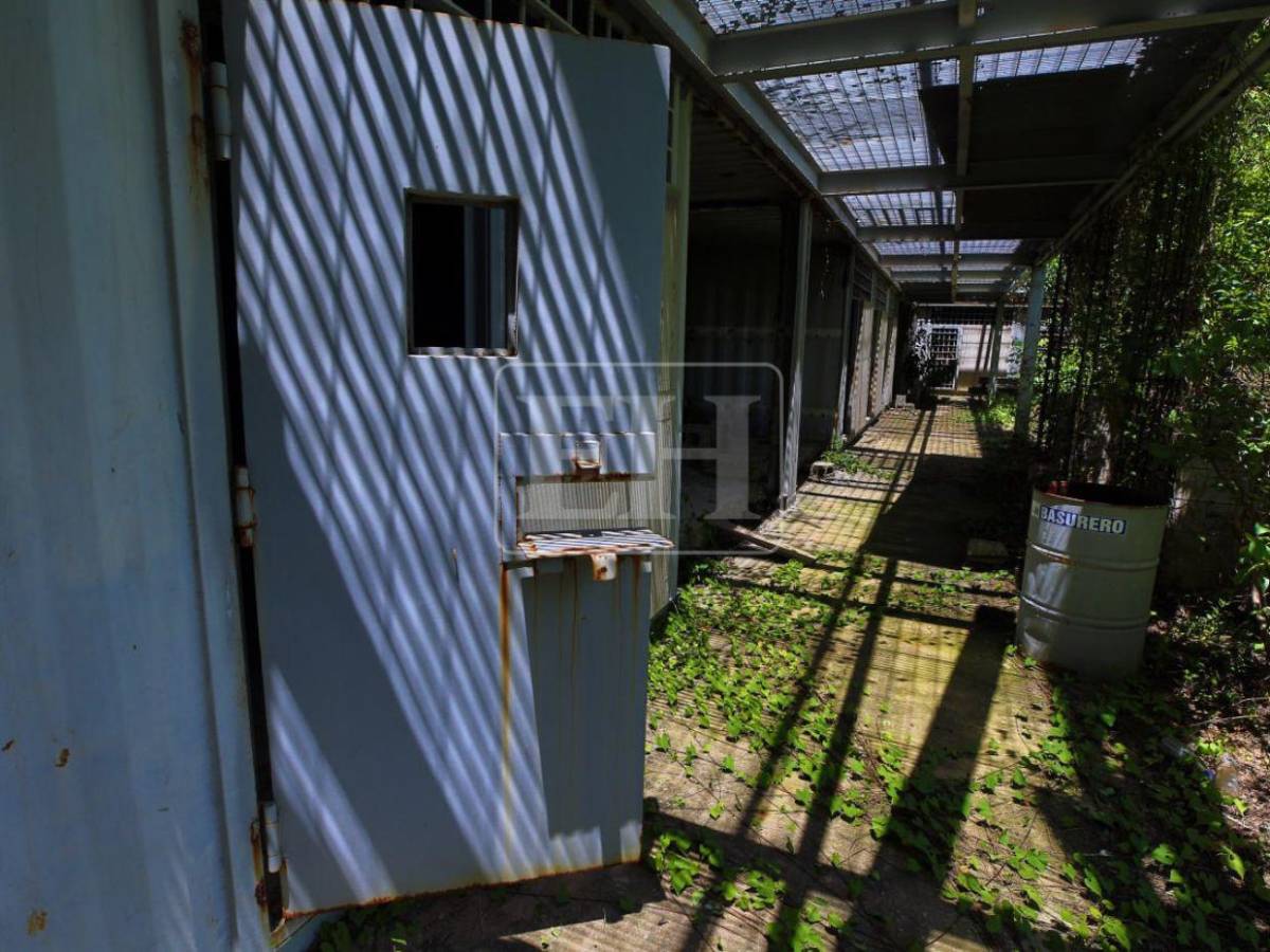 Maleza, techos dañados y módulos inconclusos: el abandono de la cárcel de Naco