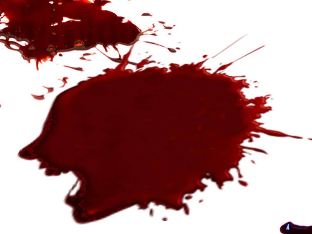 Guerra, enfermedades y fenómenos raros: Las predicciones de Nostradamus para 2026