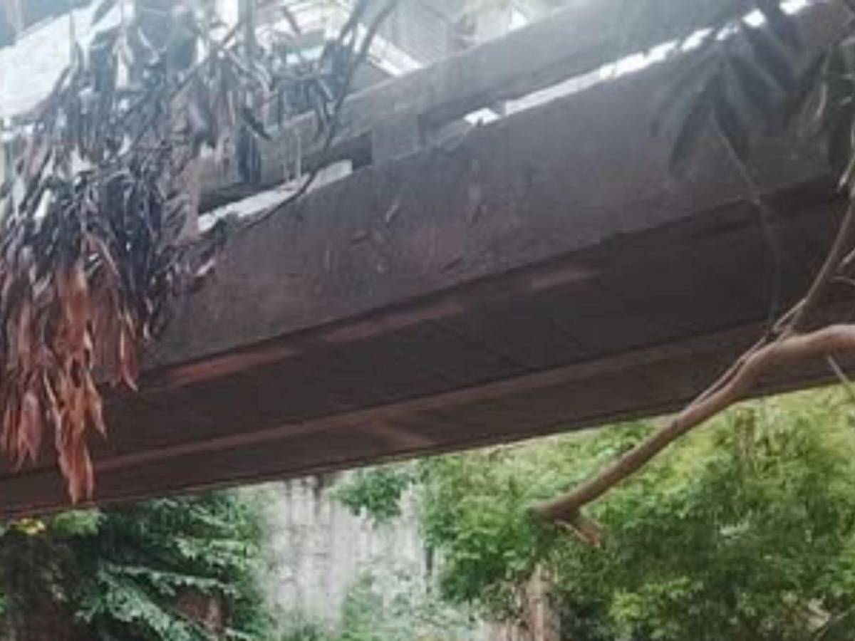Más de 5,000 vecinos en riesgo de quedar incomunicados por puente dañado