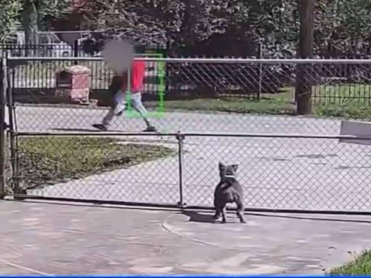 Hondureño en EE UU secuestró y habría violado a mujer: cinco días la mantuvo en un armario