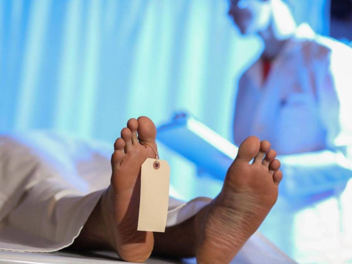 Joven desaparecida en Argentina fue hallada “devorada” por sus perros