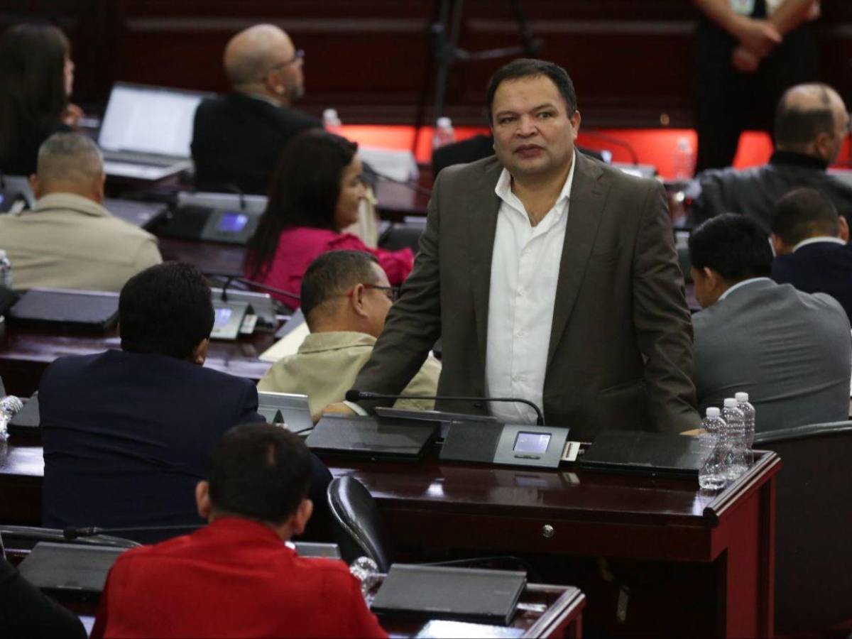 Diputados con más de una década en el Congreso Nacional que buscan reelegirse