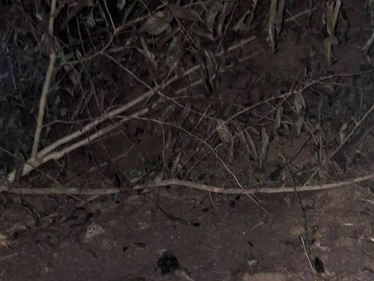 Así fue ubicada la escena donde asesinaron a la maestra Aleyda Santos en Gualaco