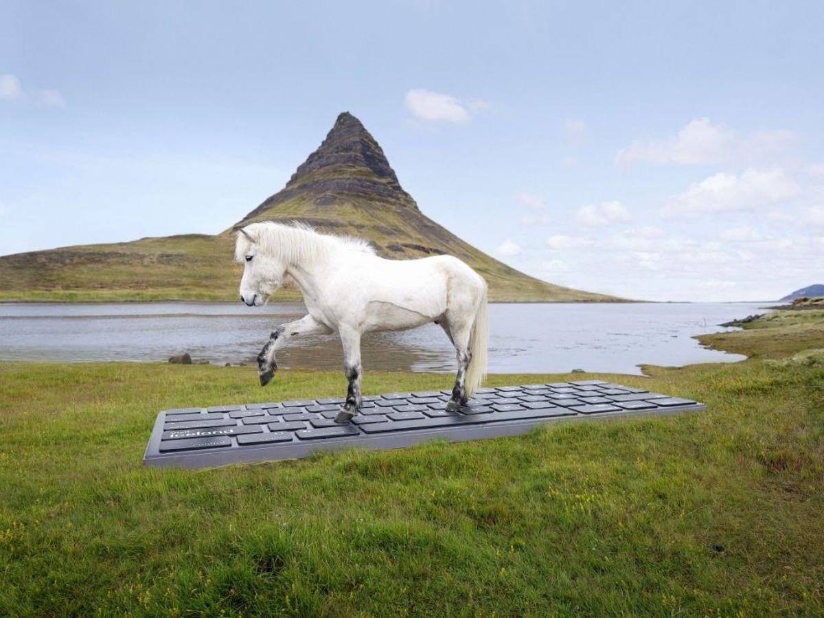Islandia propone delegar en sus caballos la respuesta automática de correos por vacaciones