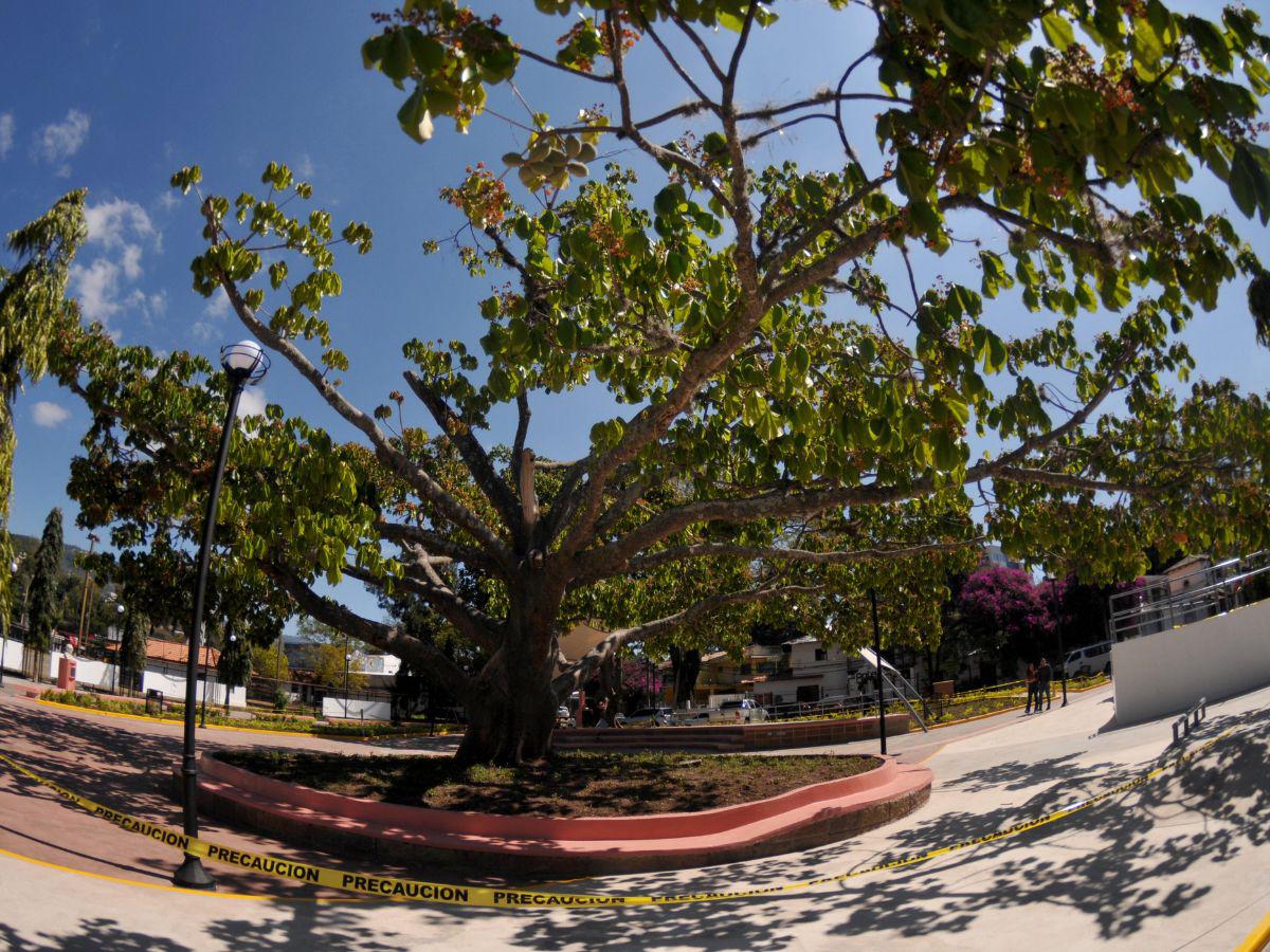 Redondel de los Artesanos está listo para el público tras su remodelación