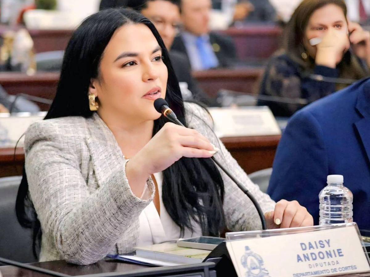 Ellos son los diputados y alcaldes que no rindieron cuentas de sus campañas en 2025