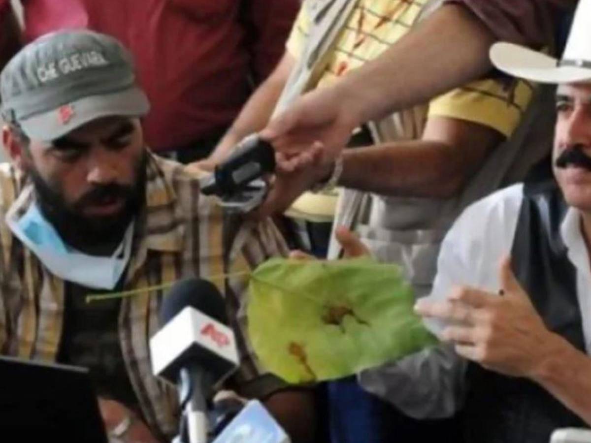 Cambio físico: Así eran antes los funcionarios del gobierno de Xiomara Castro