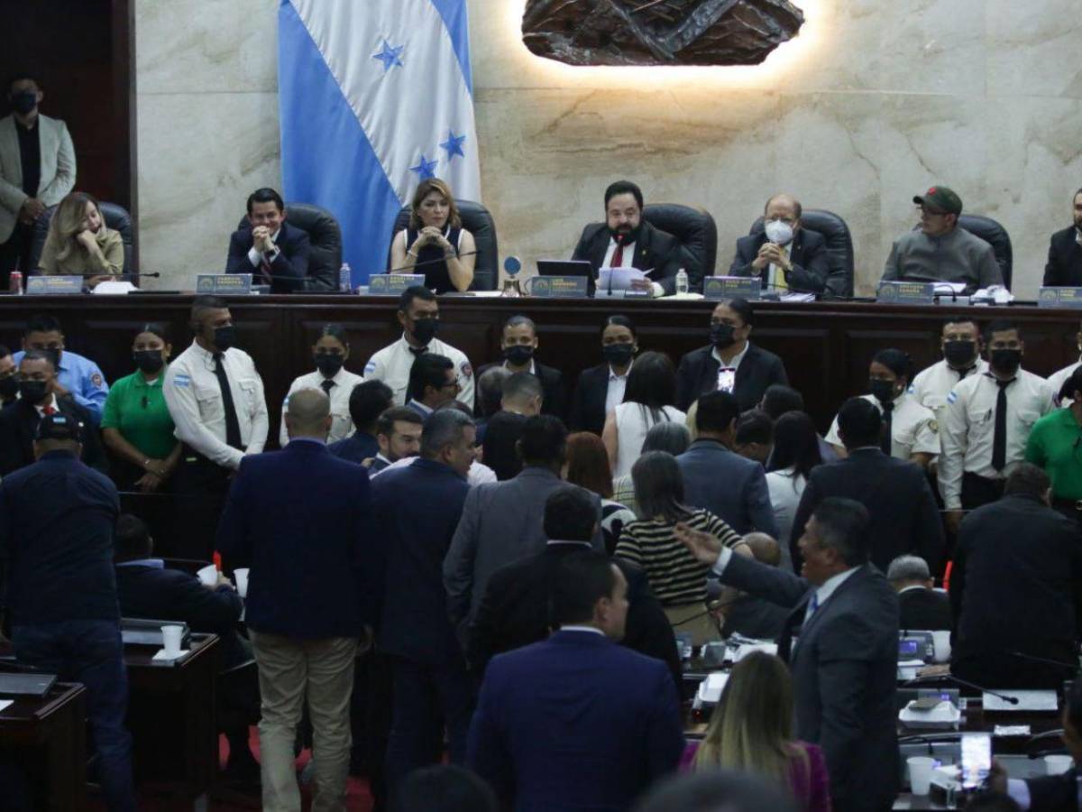 ¿Quiénes son los diputados de la comisión que investigará la renuncia de Ana Paola Hall?