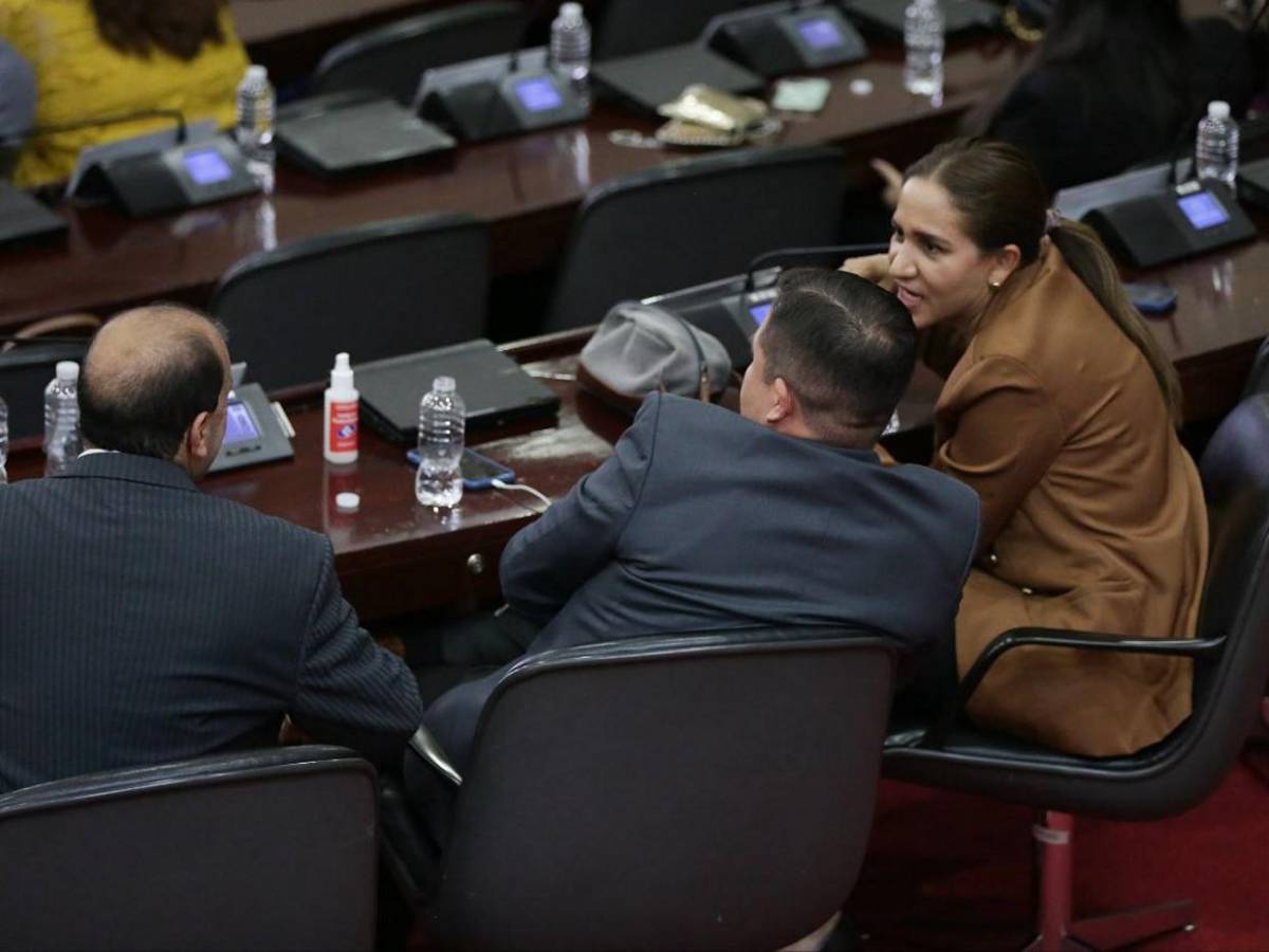 Atentos al celular, al “chismecito” y al café: diputados en plena sesión parlamentaria