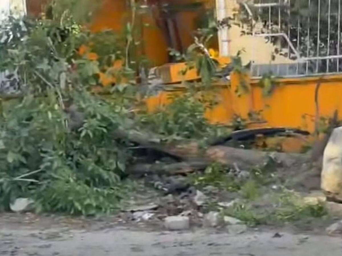 Conductor intenta huir de la Policía y termina incrustado en una casa en SPS