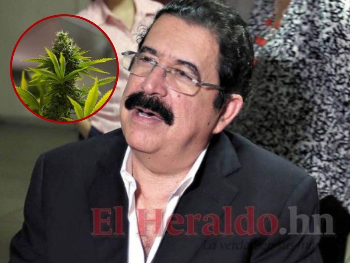 “Mel” Zelaya sobre cultivo de cannabis en Honduras: “no apoyamos la idea... como alguien lo ha propuesto”