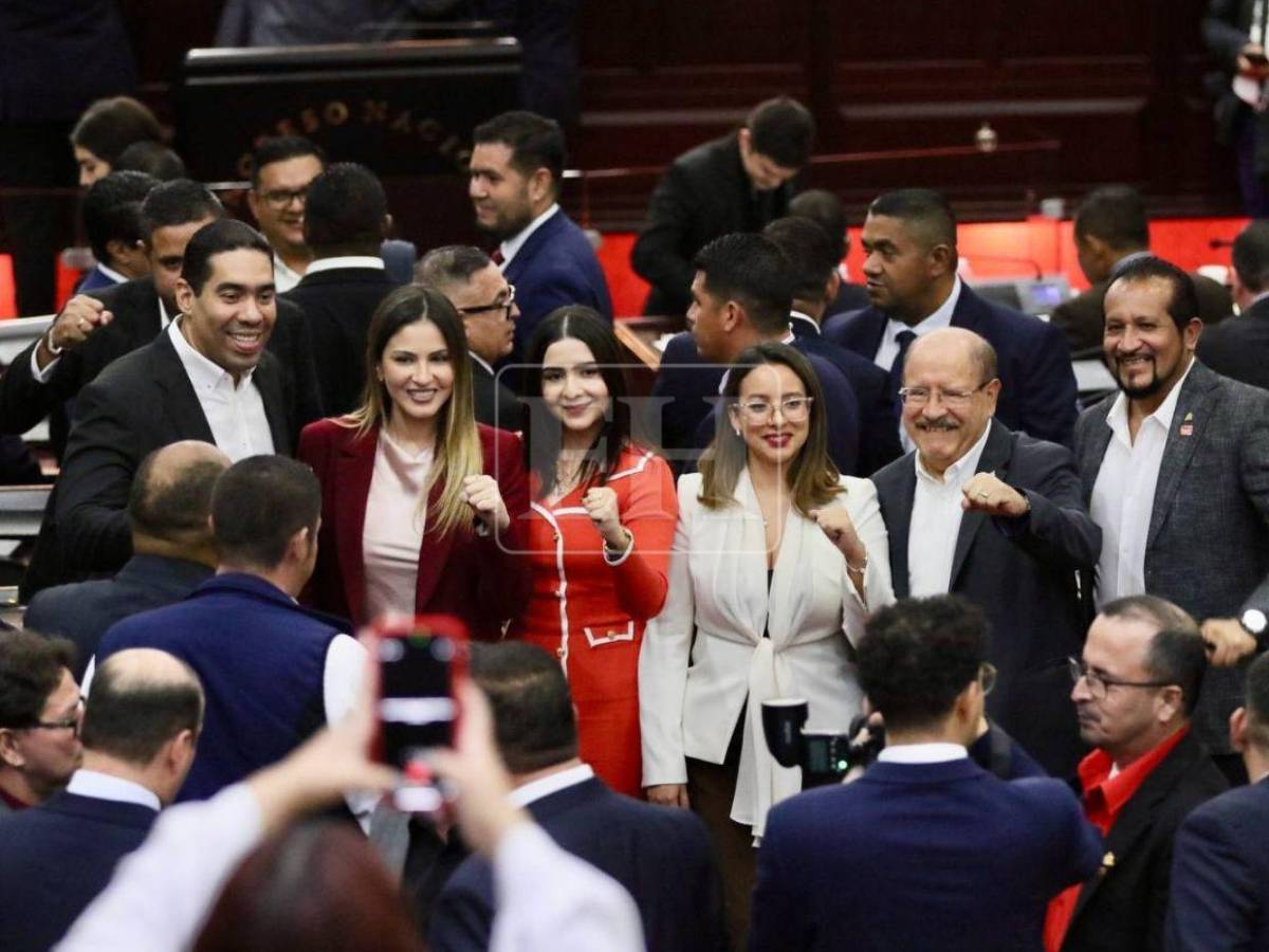 ¿Qué diputados no votaron para aprobar la Ley de Justicia Energética?