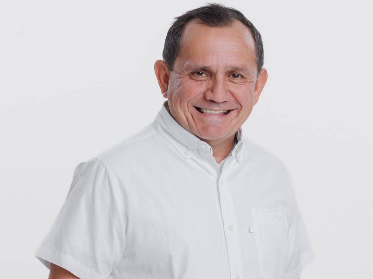 Diputados con más de una década en el Congreso Nacional que buscan reelegirse