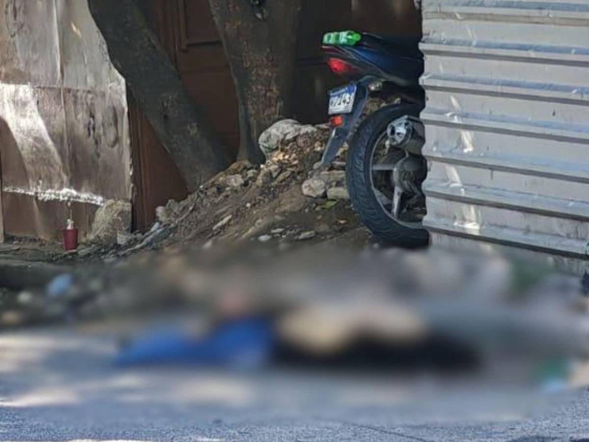 Tenía rastros de cuero cabelludo de su agresor en sus manos: detalles del crimen en el barrio Perpetuo Socorro