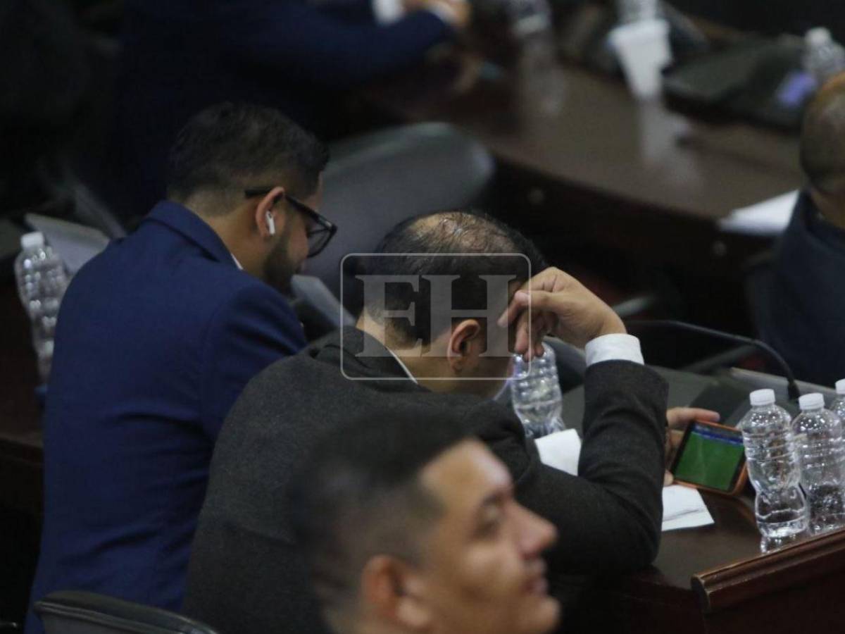 Sesión del CN se realizó con diputados y periodistas viendo a Messi y Argentina en el Mundial