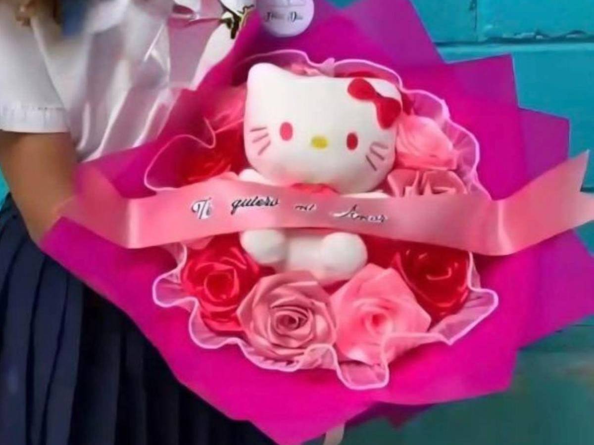 Ella quería descansar con su peluche de Hello Kitty: madre revela qué decía la carta de Violeth