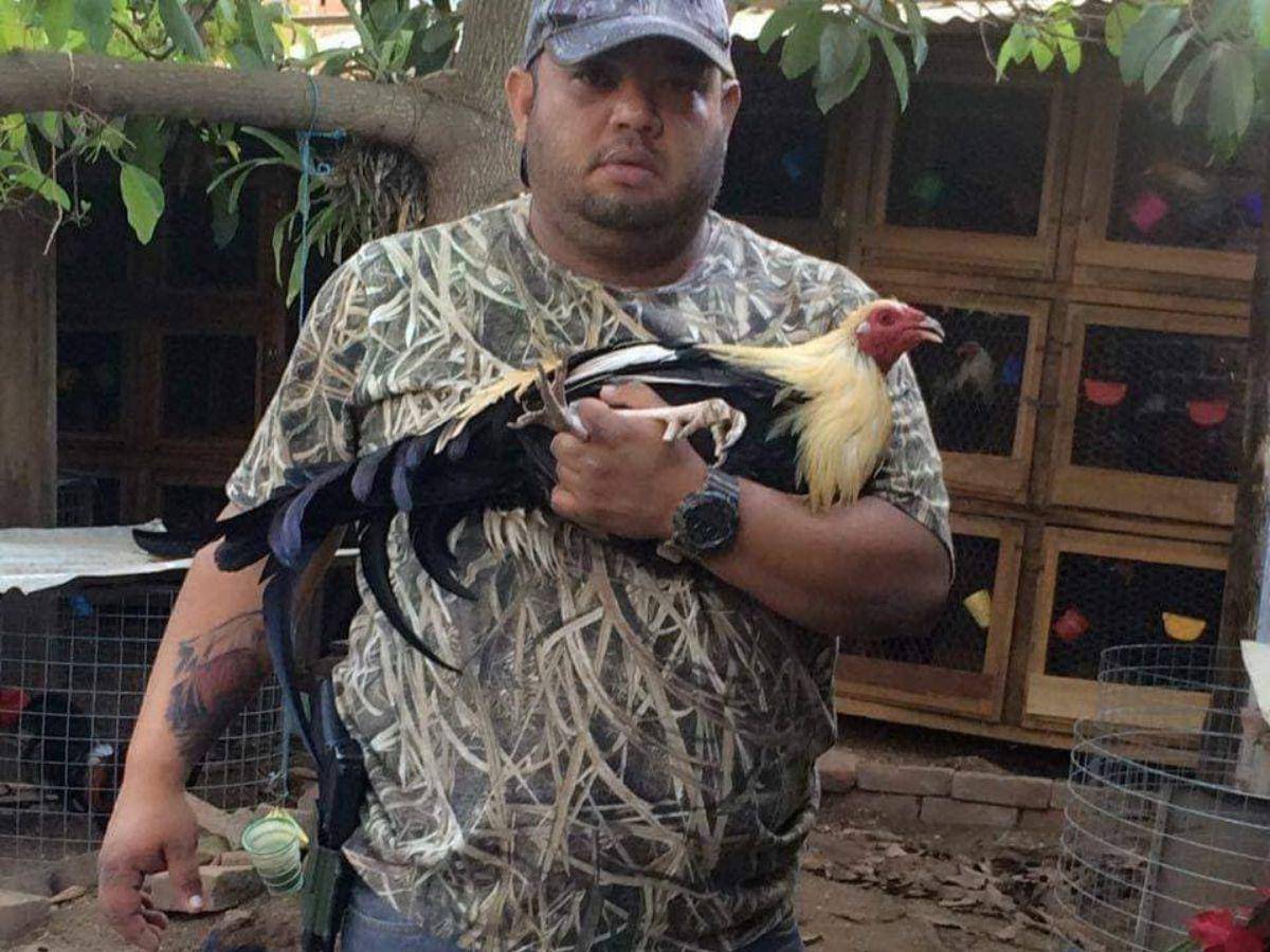 Asesinan a disparos a un ganadero que se dedicaba a peleas de gallo en El Paraíso