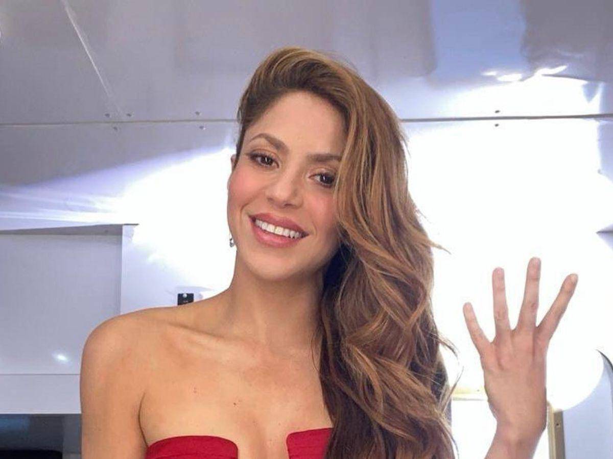 Shakira pide respeto y aclara que su única ilusión es dedicarse a sus hijos