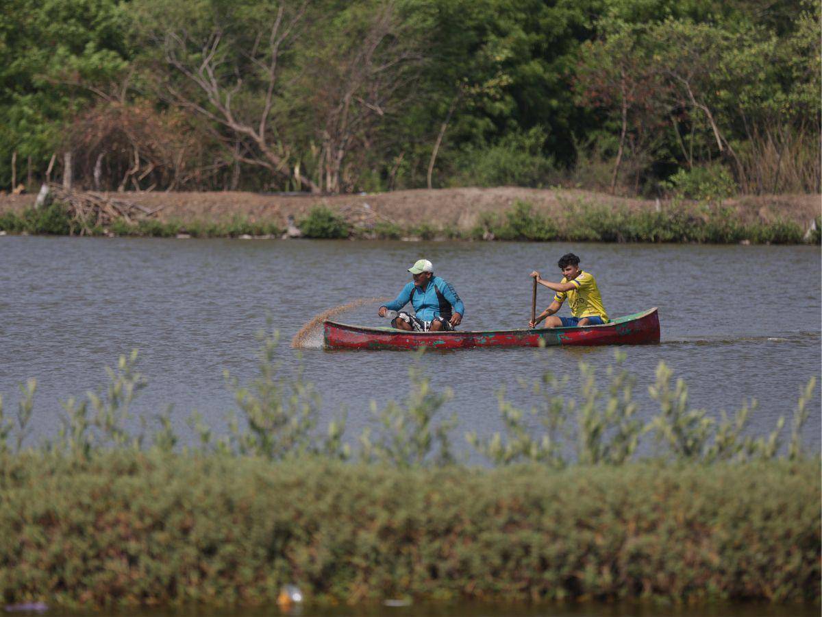$!Algunos pequeños productores de camarón están haciendo un esfuerzo por mantener el mercado.