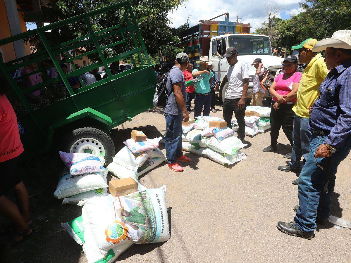 $!Con el Bono Tecnológico se espera tener una mejor cosecha de granos.