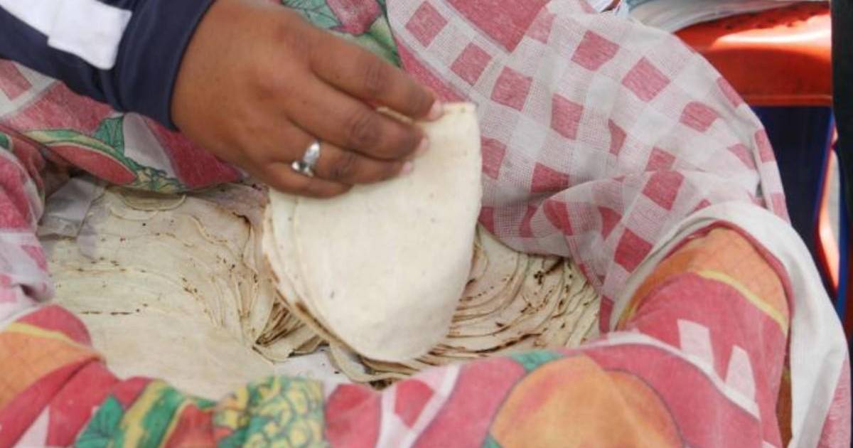 Los que vendan tortillas a 1.50 lempiras serán multados por el