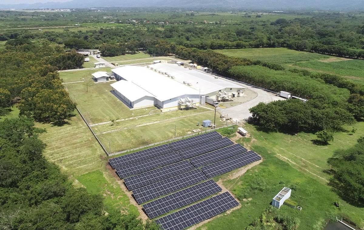 CMI instaló 3,612 paneles solares en cuatro operaciones avícolas en Honduras.