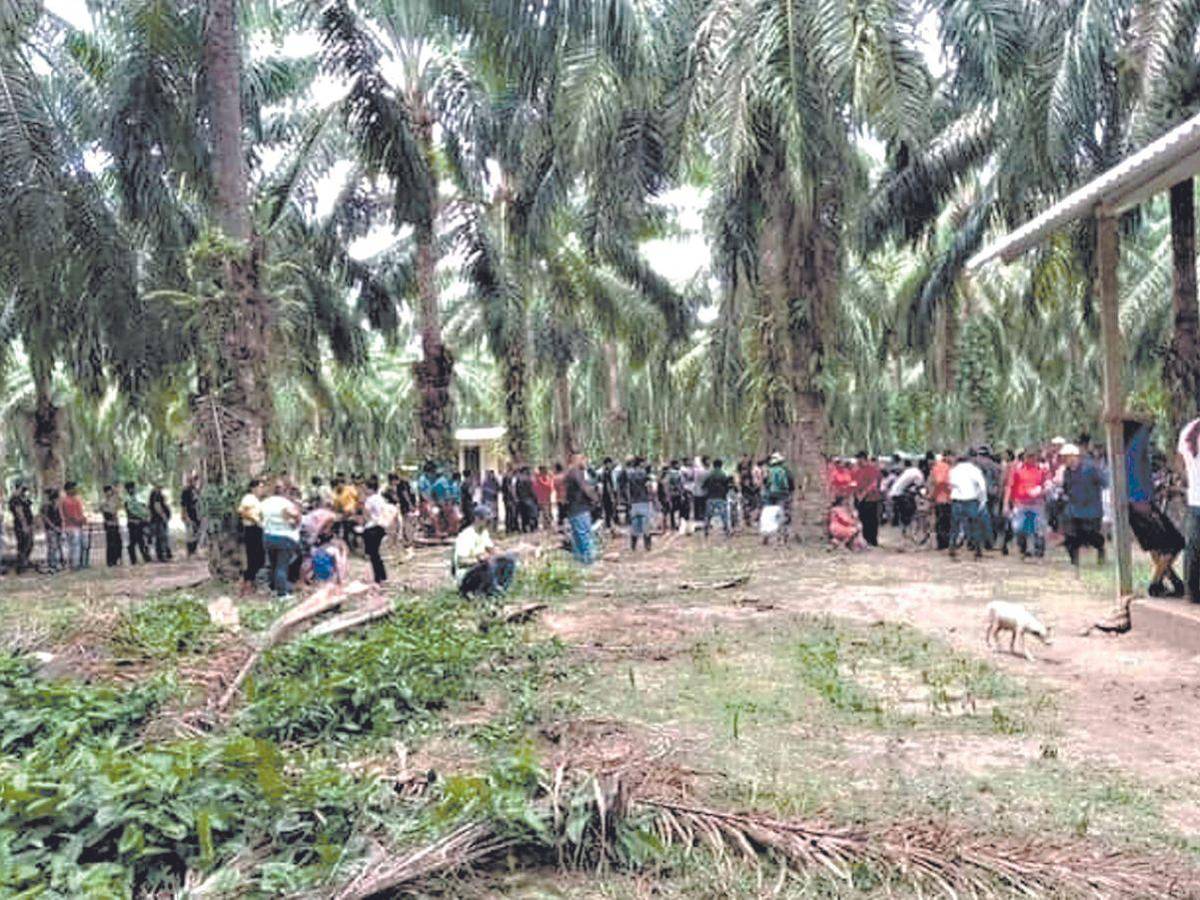 Empresa de Colón interpuso 55 denuncias por invasiones de tierras