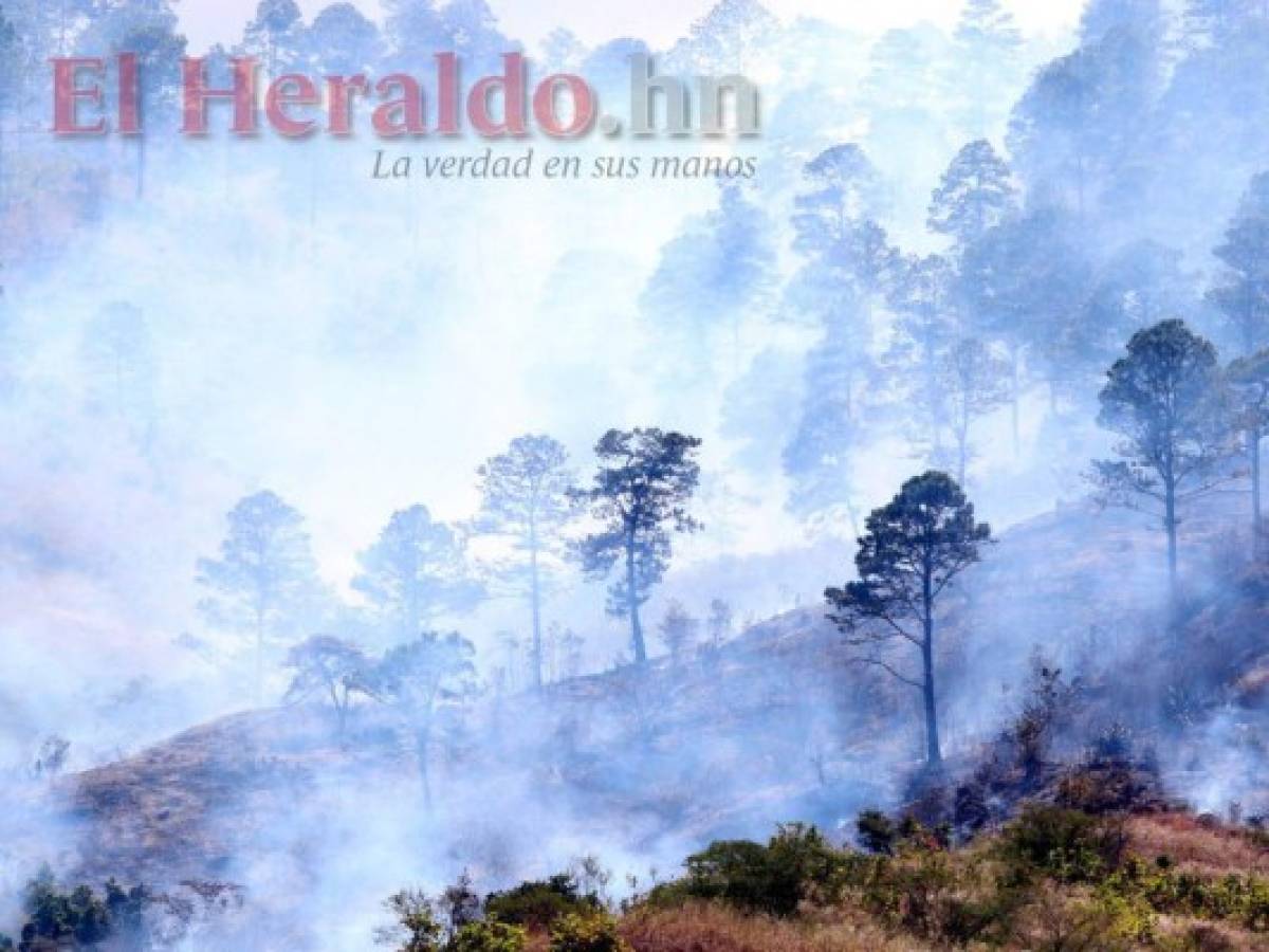 Francisco Morazán y Gracias a Dios registran mayor número de incendios forestales en 2019