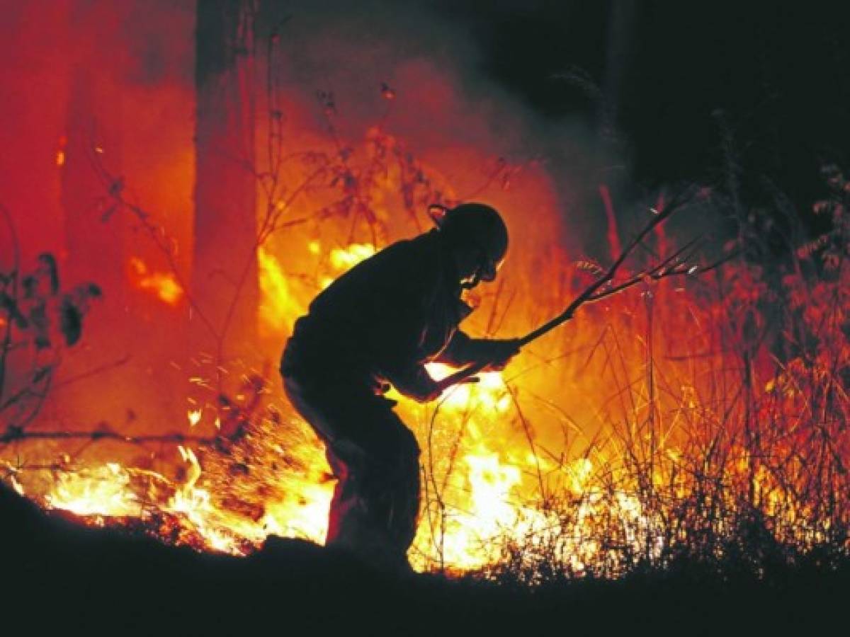 El 91% de los incendios forestales en Honduras son provocados intencionalmente