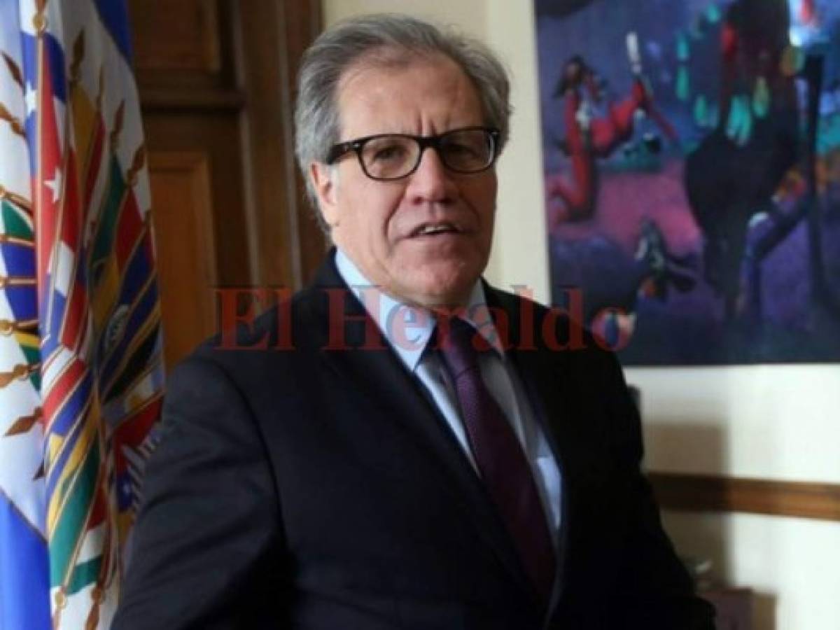 Luis Almagro, secretario de la OEA, critica declaratoria oficial del Tribunal Supremo Electoral en Honduras