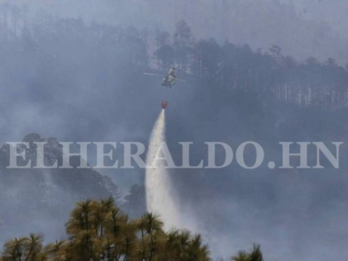 Extinguido en su totalidad incendio que consumió unas 400 hectáreas de bosque en El Hatillo