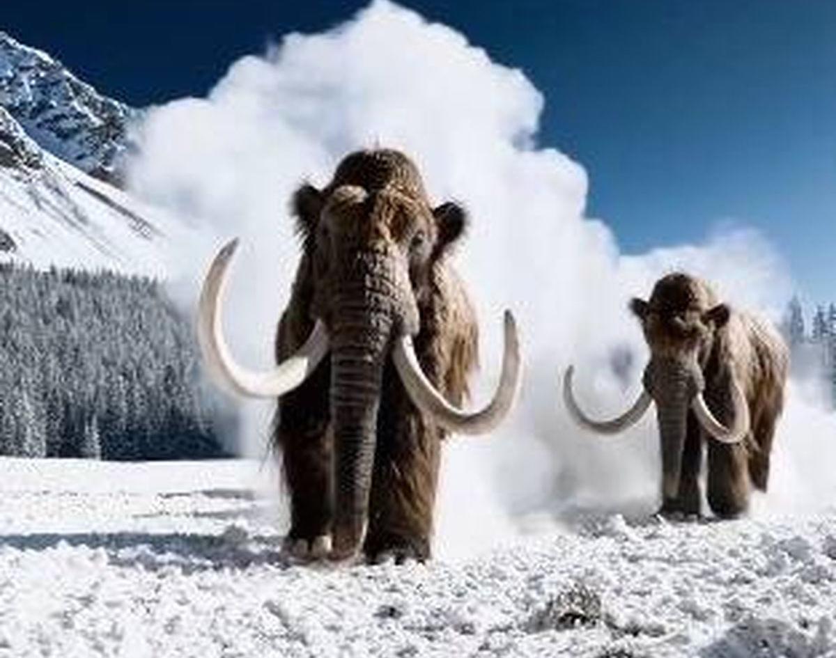 Los hitos tecnológicos que más impresionaron en 2025