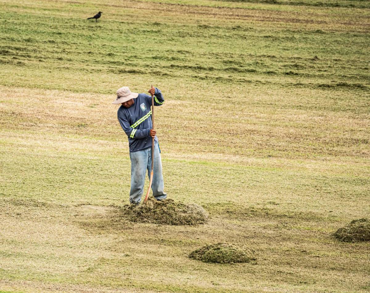 Tecnología de punta y grama de primer nivel: Así luce el renovado estadio Excélsior