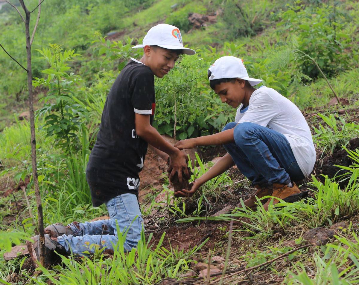 Fundación Terra y escolares al rescate del bosque de la capital