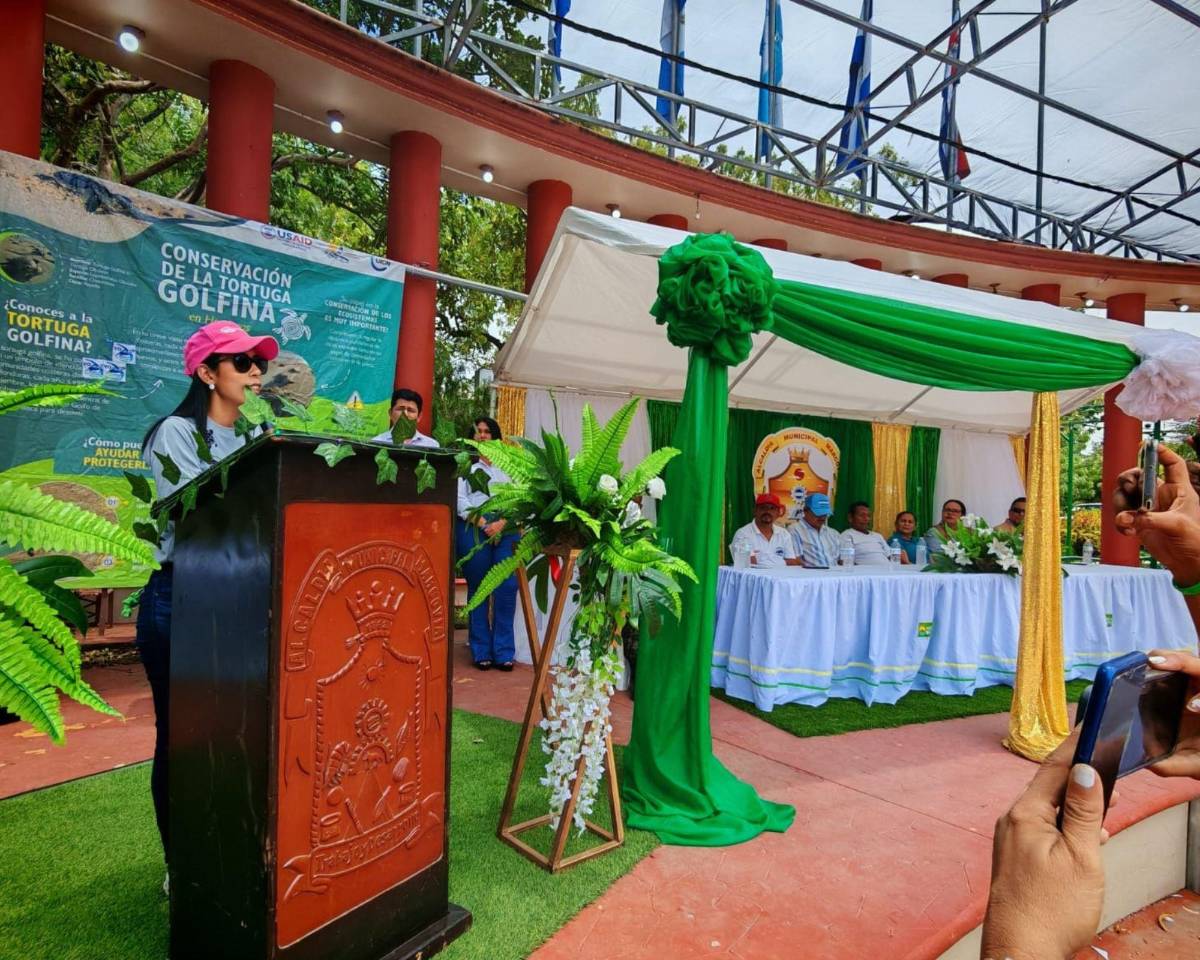 Inicia la veda en el sur de Honduras para la preservación de la tortuga golfina