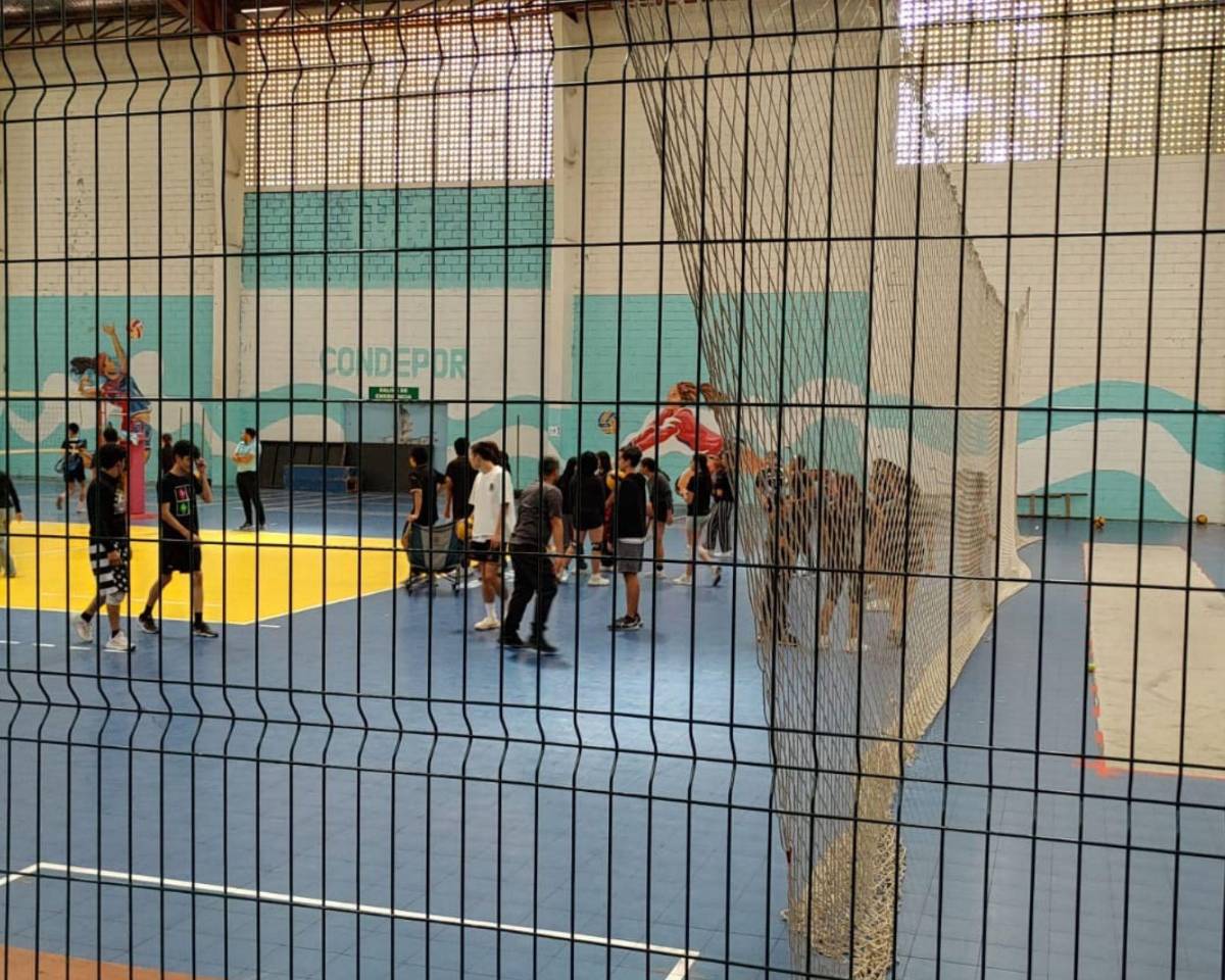 Gimnasios de la Villa Olímpica permanecen vacíos pese a llamado de Libre