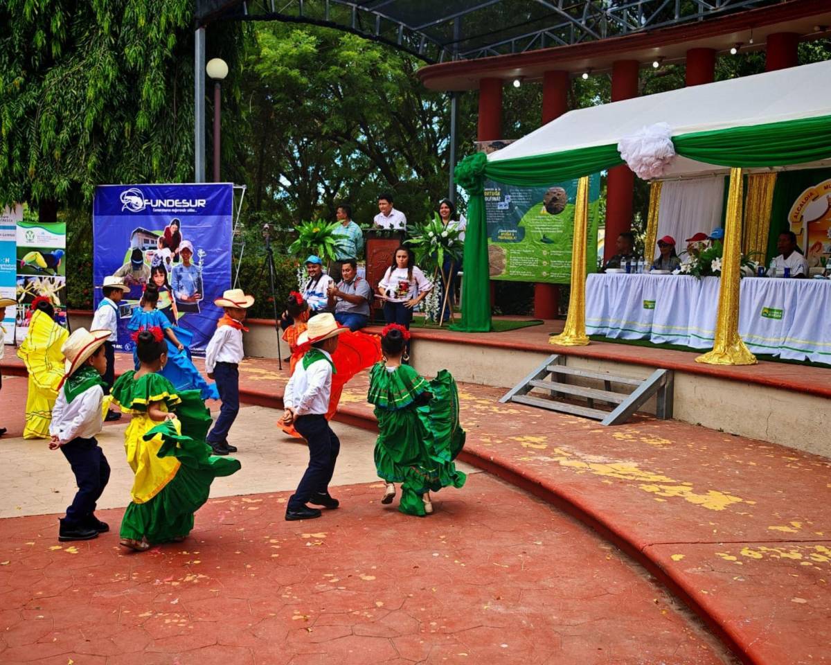Inicia la veda en el sur de Honduras para la preservación de la tortuga golfina
