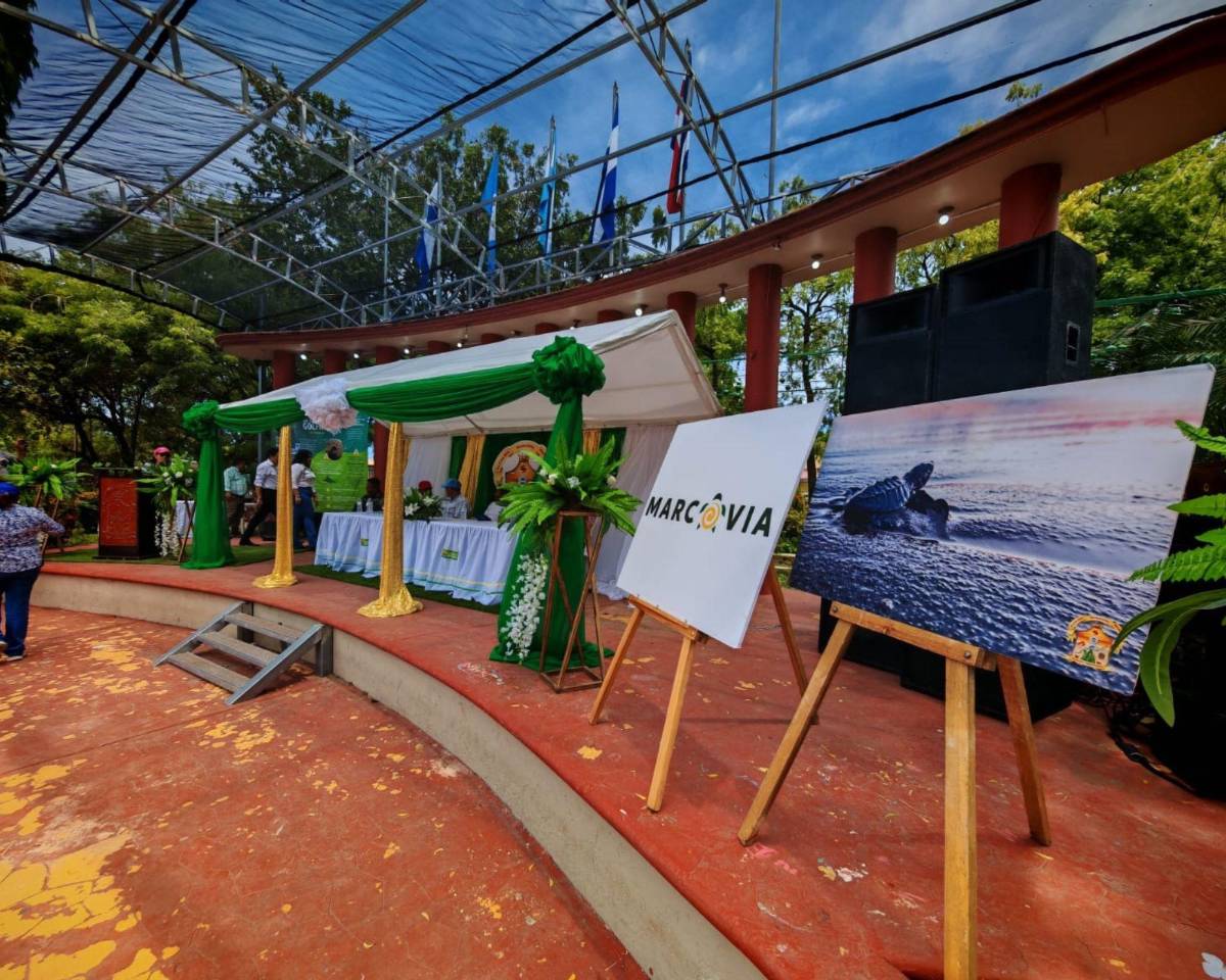 Inicia la veda en el sur de Honduras para la preservación de la tortuga golfina