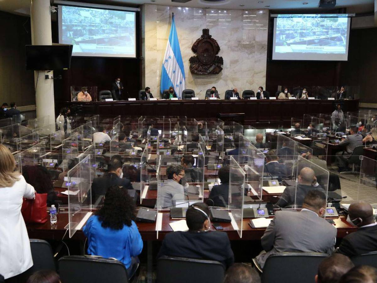 Sociedad civil y diputados tildan de incongruente el presupuesto 2023