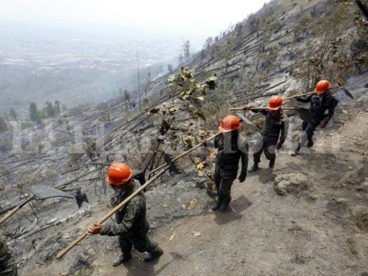 Incendio en El Hatillo solo quemó maleza, según el Instituto de Conservación Forestal (ICF)